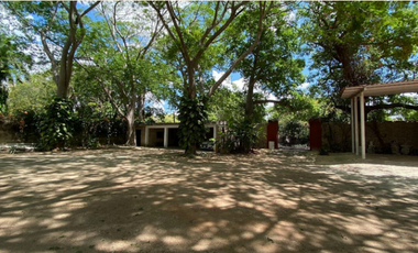HACIENDA ITZINCAB PALOMEQUE EN VENTA UBICADA EN ITZINCAB, UMÁN.