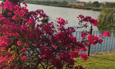 Departamento en Renta Amueblado! Modelo Villa