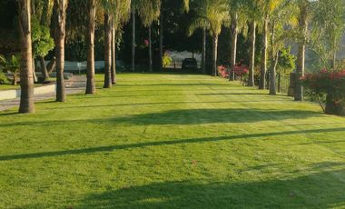 Departamento en Renta Amueblado! Modelo Villa