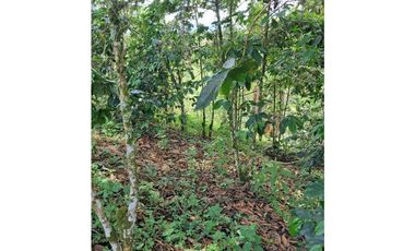 Venta de Finca  Municipio de Quimbaya