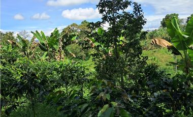 Venta de Finca  Municipio de Quimbaya