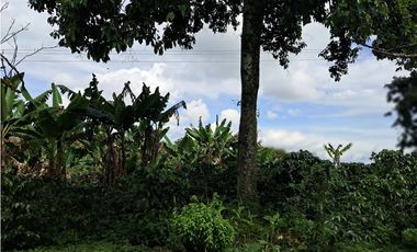 Venta de Finca  Municipio de Quimbaya