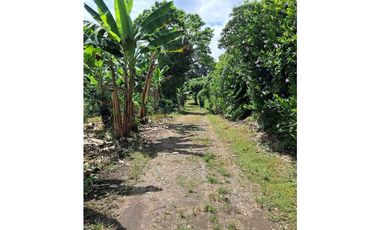 Venta de Finca  Municipio de Quimbaya