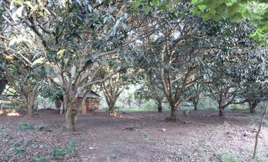 Residential Lot Talaban in Himamaylan