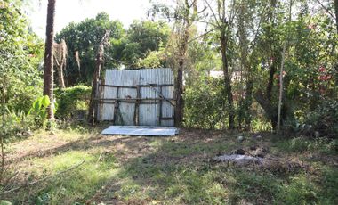Residential Lot Talaban in Himamaylan