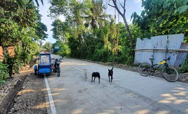 Residential Lot Talaban in Himamaylan