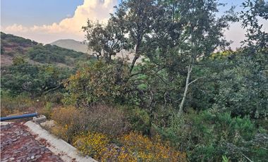 Bonito terreno en zona de bosque de mazamitla jalisco