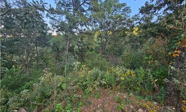Bonito terreno en zona de bosque de mazamitla jalisco
