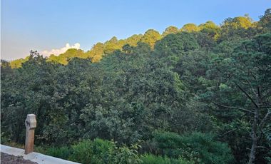 Bonito terreno en zona de bosque de mazamitla jalisco