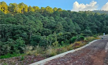 Bonito terreno en zona de bosque de mazamitla jalisco