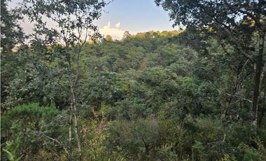 Bonito terreno en zona de bosque de mazamitla jalisco