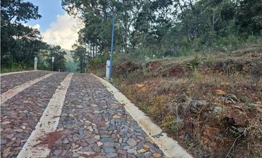 Bonito terreno en zona de bosque de mazamitla jalisco