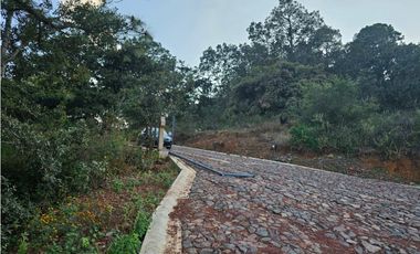 Bonito terreno en zona de bosque de mazamitla jalisco