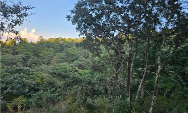 Bonito terreno en zona de bosque de mazamitla jalisco