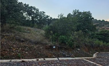 Bonito terreno en zona de bosque de mazamitla jalisco
