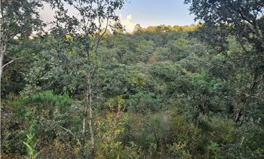 Bonito terreno en zona de bosque de mazamitla jalisco