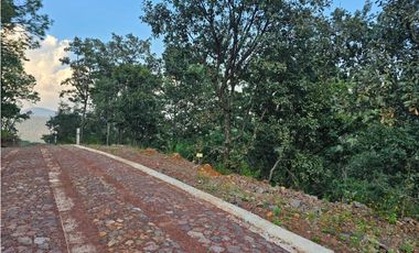 Bonito terreno en zona de bosque de mazamitla jalisco
