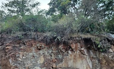 Bonito terreno en zona de bosque de mazamitla jalisco