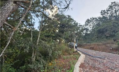 Bonito terreno en zona de bosque de mazamitla jalisco