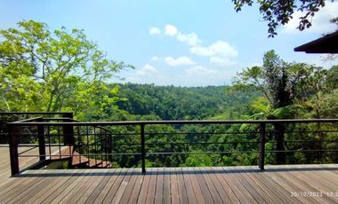 Villa Mewah View Ayung River dan Gunung di Ubud