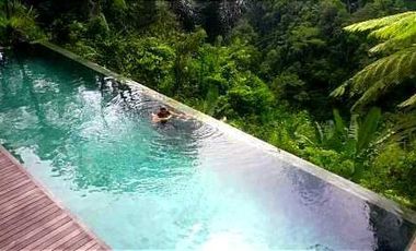 Villa Mewah View Ayung River dan Gunung di Ubud