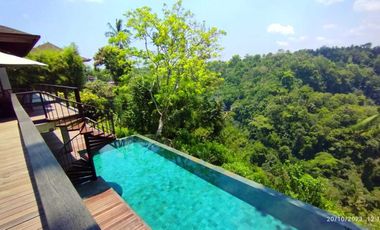 Villa Mewah View Ayung River dan Gunung di Ubud