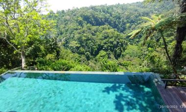 Villa Mewah View Ayung River dan Gunung di Ubud
