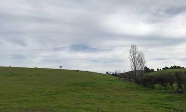 Parcela en venta en NINHUE