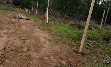 Parcela en venta en NINHUE