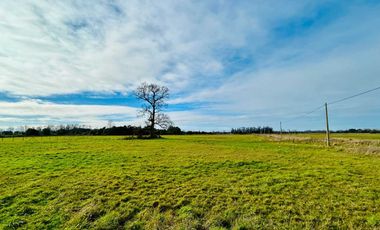 Parcela en venta en OSORNO
