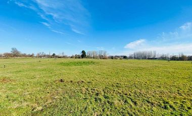 Parcela en venta en OSORNO