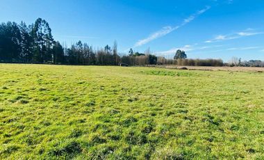 Parcela en venta en OSORNO