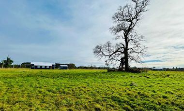 Parcela en venta en OSORNO