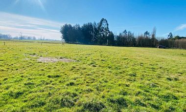 Parcela en venta en OSORNO