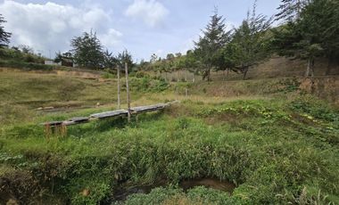 Finca en Venta Ubicado en Guarne Codigo 1177