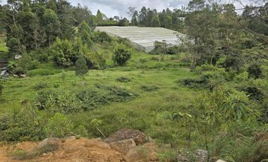Finca en Venta Ubicado en Guarne Codigo 1177