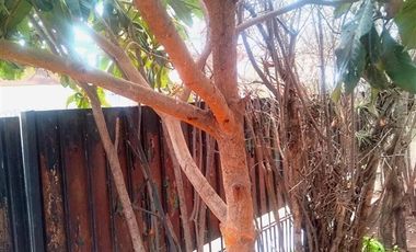 Casa en Venta en Manso de Velasco
