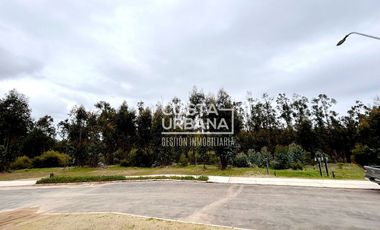 OPORTUNIDAD VENTA SITIO BOSQUES DE QUILEN, MAITENCILLO