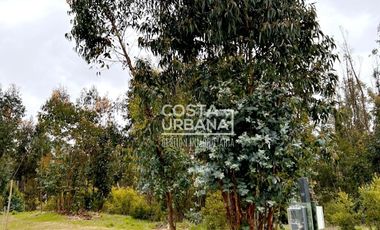 OPORTUNIDAD VENTA SITIO BOSQUES DE QUILEN, MAITENCILLO