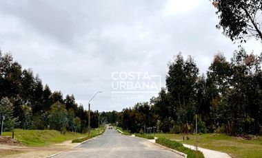 OPORTUNIDAD VENTA SITIO BOSQUES DE QUILEN, MAITENCILLO