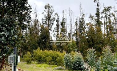 OPORTUNIDAD VENTA SITIO BOSQUES DE QUILEN, MAITENCILLO
