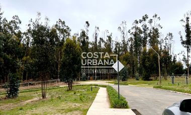OPORTUNIDAD VENTA SITIO BOSQUES DE QUILEN, MAITENCILLO