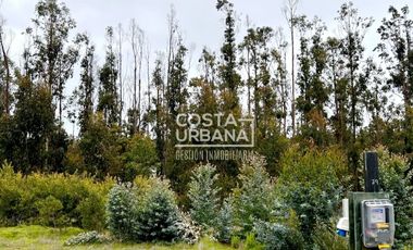 OPORTUNIDAD VENTA SITIO BOSQUES DE QUILEN, MAITENCILLO