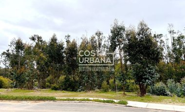 OPORTUNIDAD VENTA SITIO BOSQUES DE QUILEN, MAITENCILLO