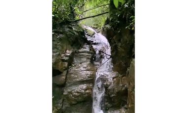 Venta casa en Minca Bellavista Sierra Nevada de Santa Marta PALO ALTO