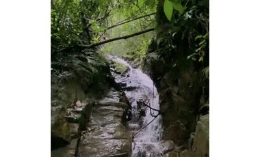 Venta casa en Minca Bellavista Sierra Nevada de Santa Marta PALO ALTO