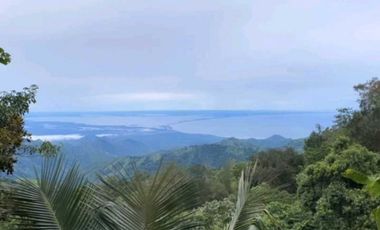 Venta casa en Minca Bellavista Sierra Nevada de Santa Marta PALO ALTO