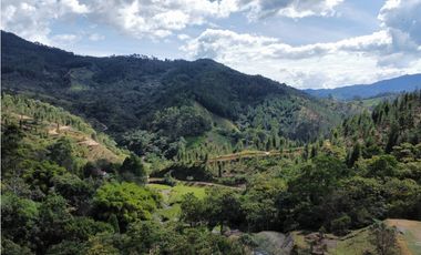 Hermoso Lote en venta – Vereda La Miel, Caldas