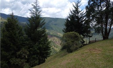 Hermoso Lote en venta – Vereda La Miel, Caldas