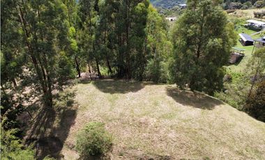 Hermoso Lote en venta – Vereda La Miel, Caldas